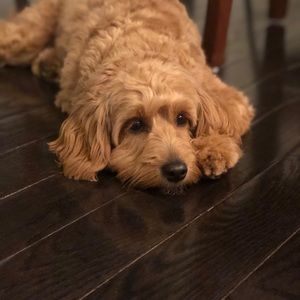 Meet your Posher, Joanna